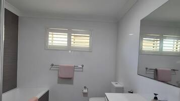 Shower, towels, soap, toilet paper