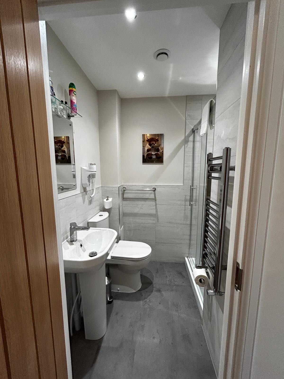 Habitación doble estándar | Baño | Amenidades de baño gratuitas, secadora de cabello, toallas, jabón 