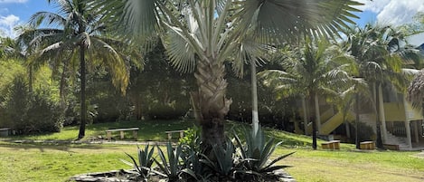 Property grounds