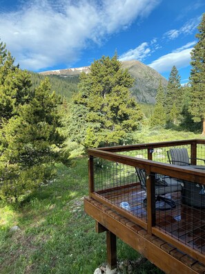 Outdoor spa tub - Cozy Mtn Home in Breckenridge - Hike Quandary Peak+ Blue Lakes (Breckenridge)