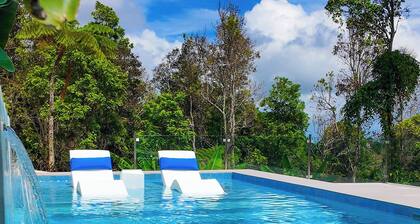 Casa Las Nubes-Cayey