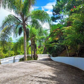 A paved pathway leading through a lush garden with various trees and a white wall on one side. - Casa Las Nubes-Cayey (Cayey city)