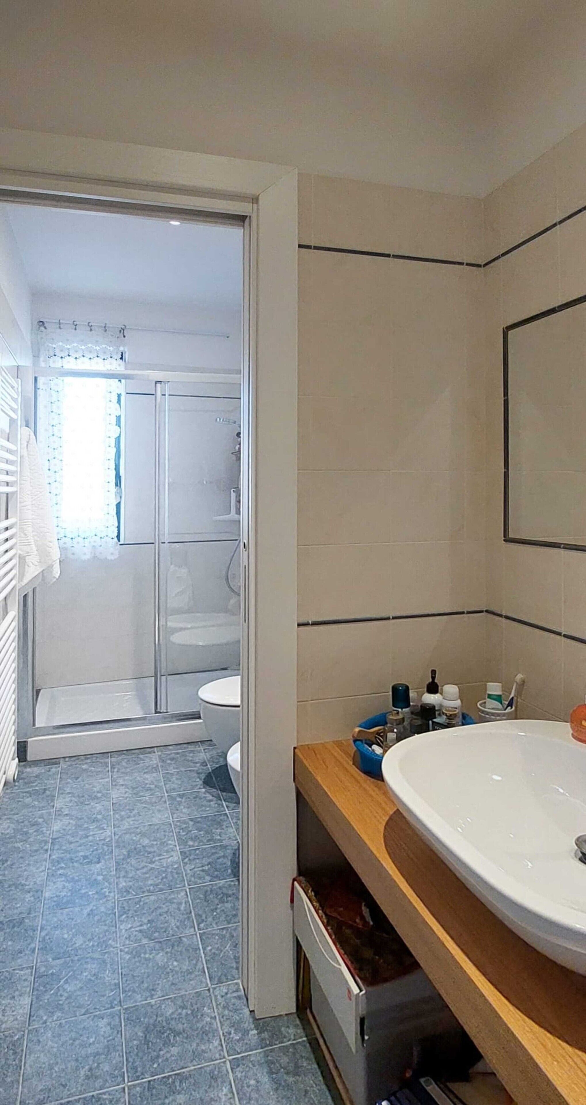 Chuveiro, secador de cabelo, toalhas de banho 