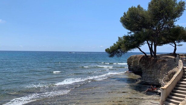 A coastal scene with a clear sky, a rocky cliff, a tree, and a person sitting on the beach. - Charming apartment A stay in the heart of the Mediterranean 2 steps from the beaches (La Ciotat)