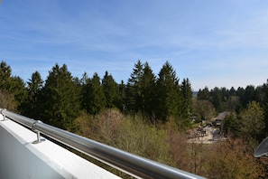 Property grounds - Apartment "Modern 5-Star" with Wi-Fi (Goslar)