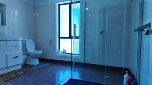 Shower, hair dryer, bidet, towels