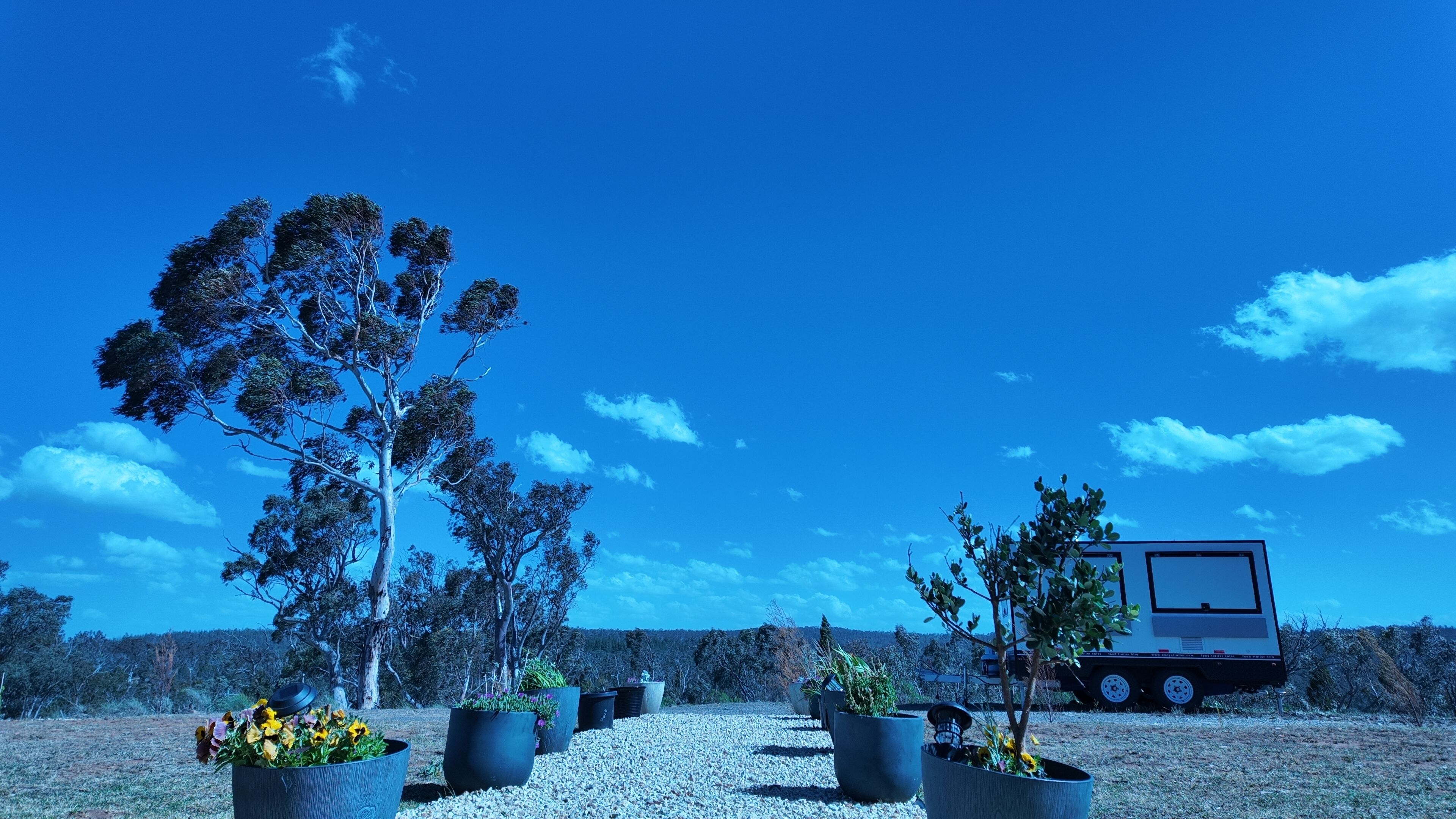 A gravel path leading to a row of potted plants and trees, with a vehicle parked in the background.