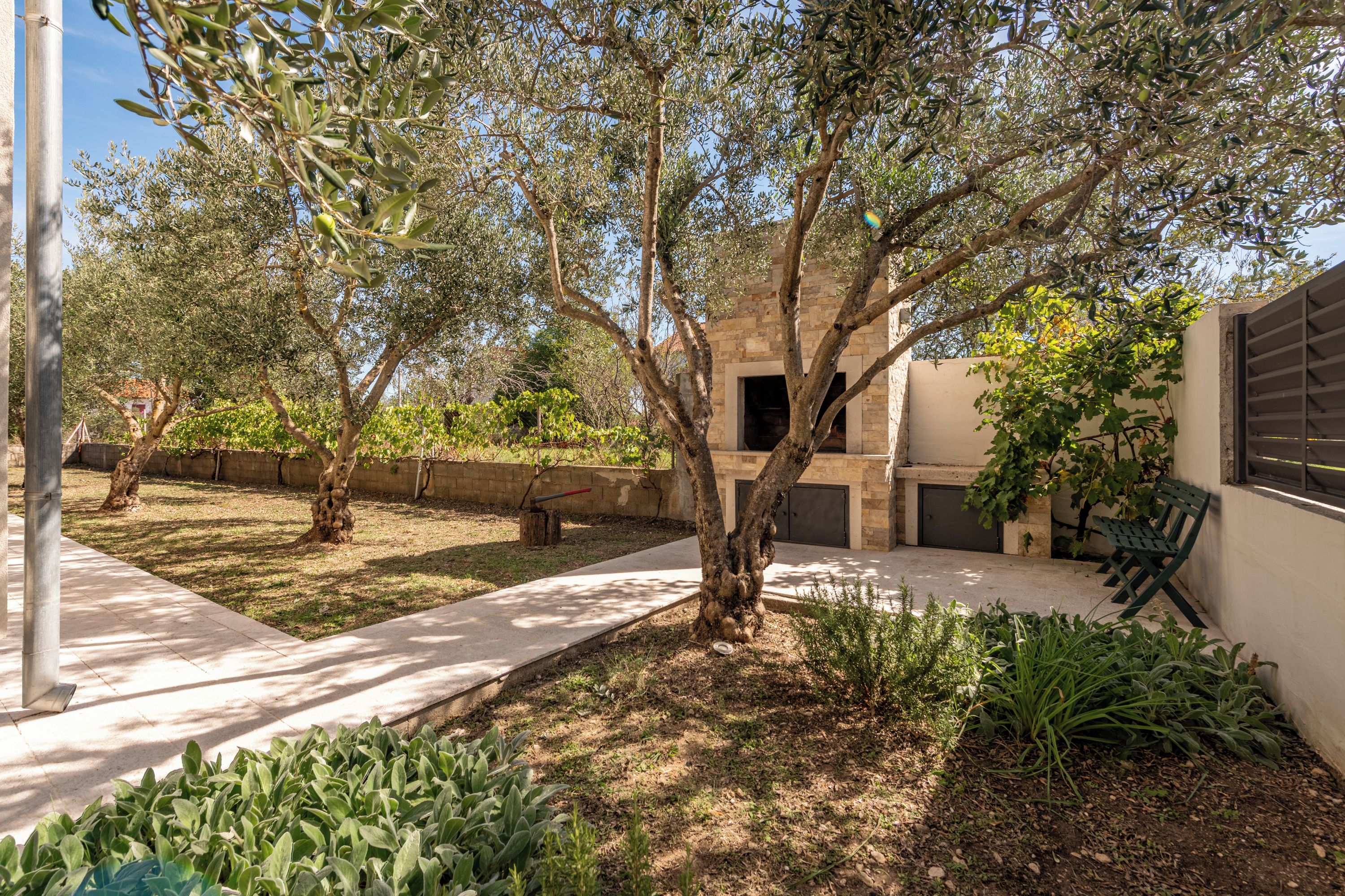 An outdoor courtyard with olive trees, a stone wall, and a bench.