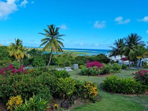 Property grounds - Castles in Paradise #C5 - by ZenBreak (Savannes)