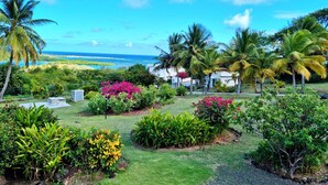 A tropical garden with palm trees, flowering plants, and a view of the ocean.