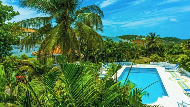 A swimming pool surrounded by lush greenery and palm trees, with a house in the background.