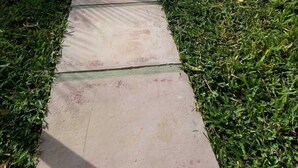Ein Weg führt zu einem Gebäude mit einem Pool, umgeben von Gras und Palmen.