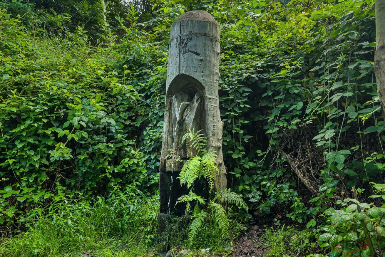 Una struttura in legno con un'apertura ad arco, immersa in un fitto fogliame verde.