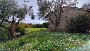A stone building with a garden in front, surrounded by trees. - House in the Chianti countryside of the Sienese hills (Toscana)