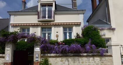 Charming Studio in Amboise