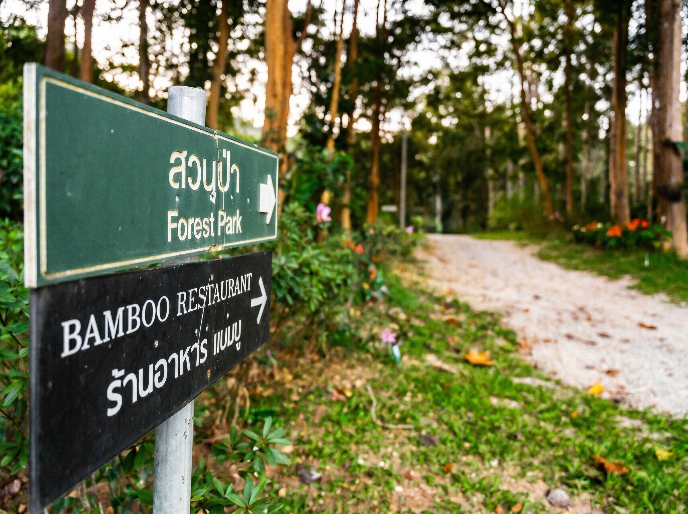 Đạp xe