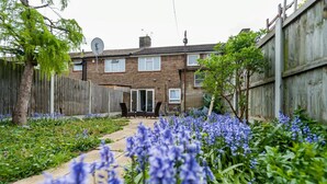 Een achtertuin met een rijtjeshuis, een houten schutting en een pad omzoomd met blauwe bloemen.