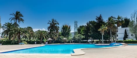 Una piscina amb gandules, palmeres i un cel blau i clar.
