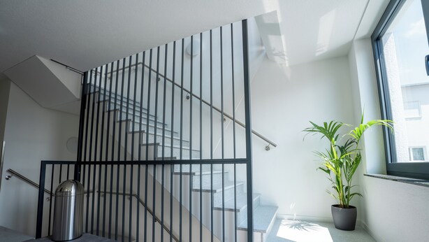 Eine moderne Treppe mit Metallgeländer, einem Blumentopf und einem Mülleimer.