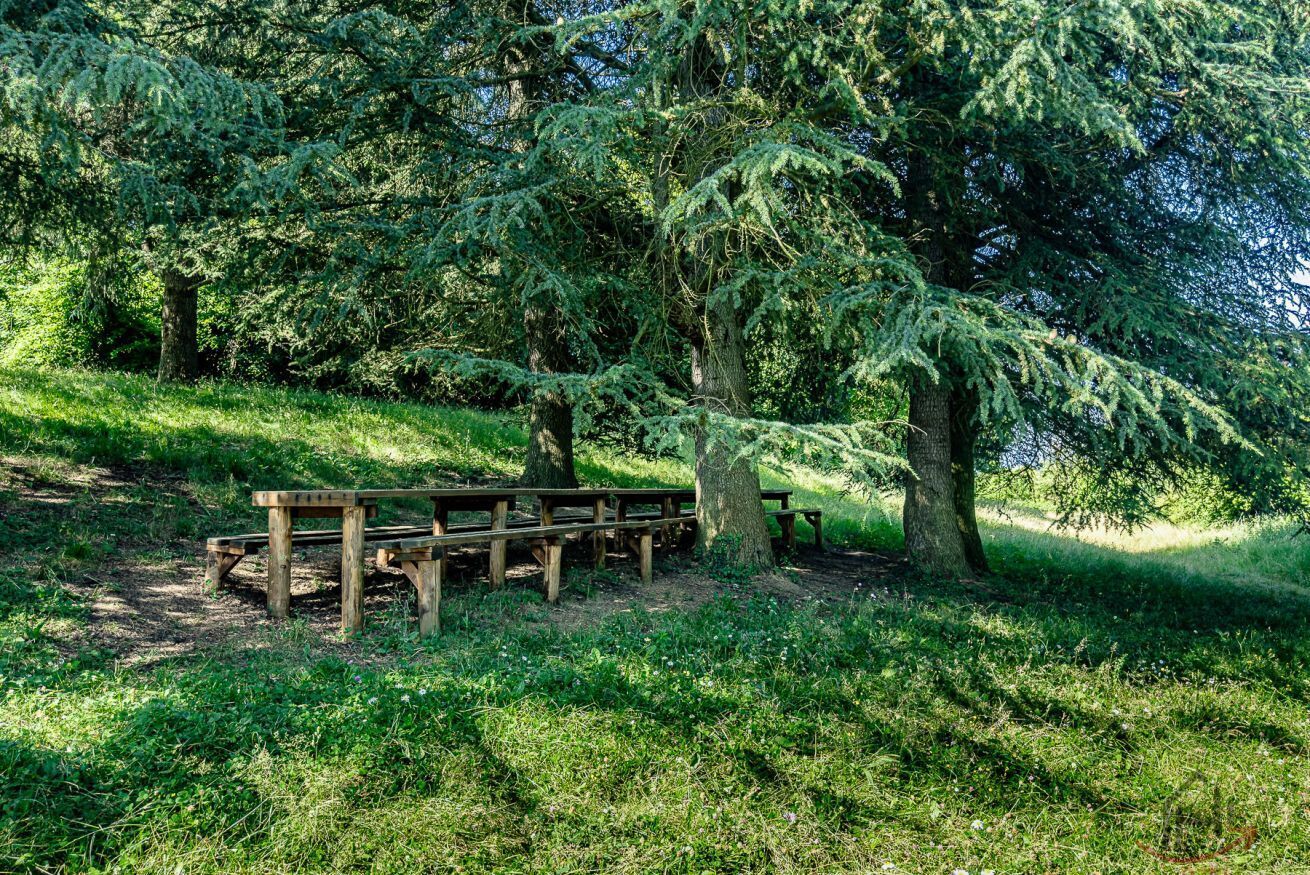 Speisen im Freien