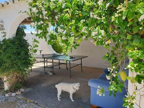 Terrace/patio - Lovely pet friendly farmhouse with seaview & big pool (Loulé)