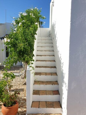 Eine weiße Treppe führt zu einem Gebäude, neben der Treppe steht ein Blumentopf.