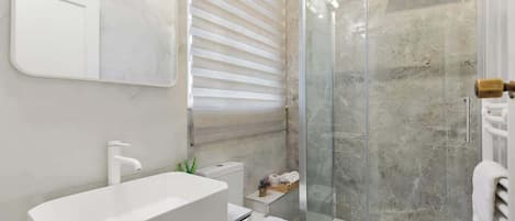 Regadera, secadora de cabello, toallas, shampoo