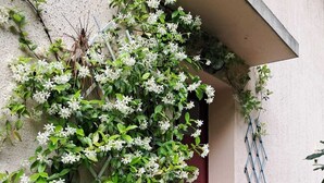 Eine Gebäudefassade mit einer Kletterpflanze mit weißen Blüten, einer roten Tür und einer Wandverzierung in einem blauen Rautenmuster.