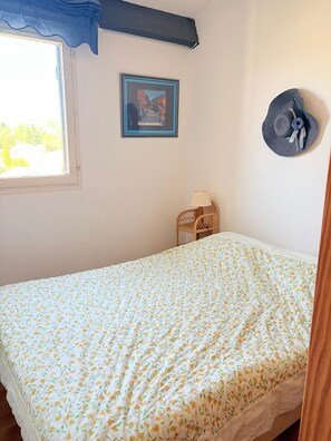 2 bedrooms, iron/ironing board - St Cyprien, superb bright apartment with large terrace (Saint-Cyprien)