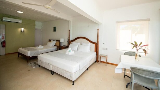 A hotel room with two single beds, a wooden headboard, a small table with a chair, and a window with a plant. - Holiblue (Blue Bay)