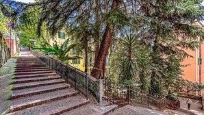 Un escalier menant à un bâtiment doté d’une rambarde en métal, entouré d’arbres et de verdure.