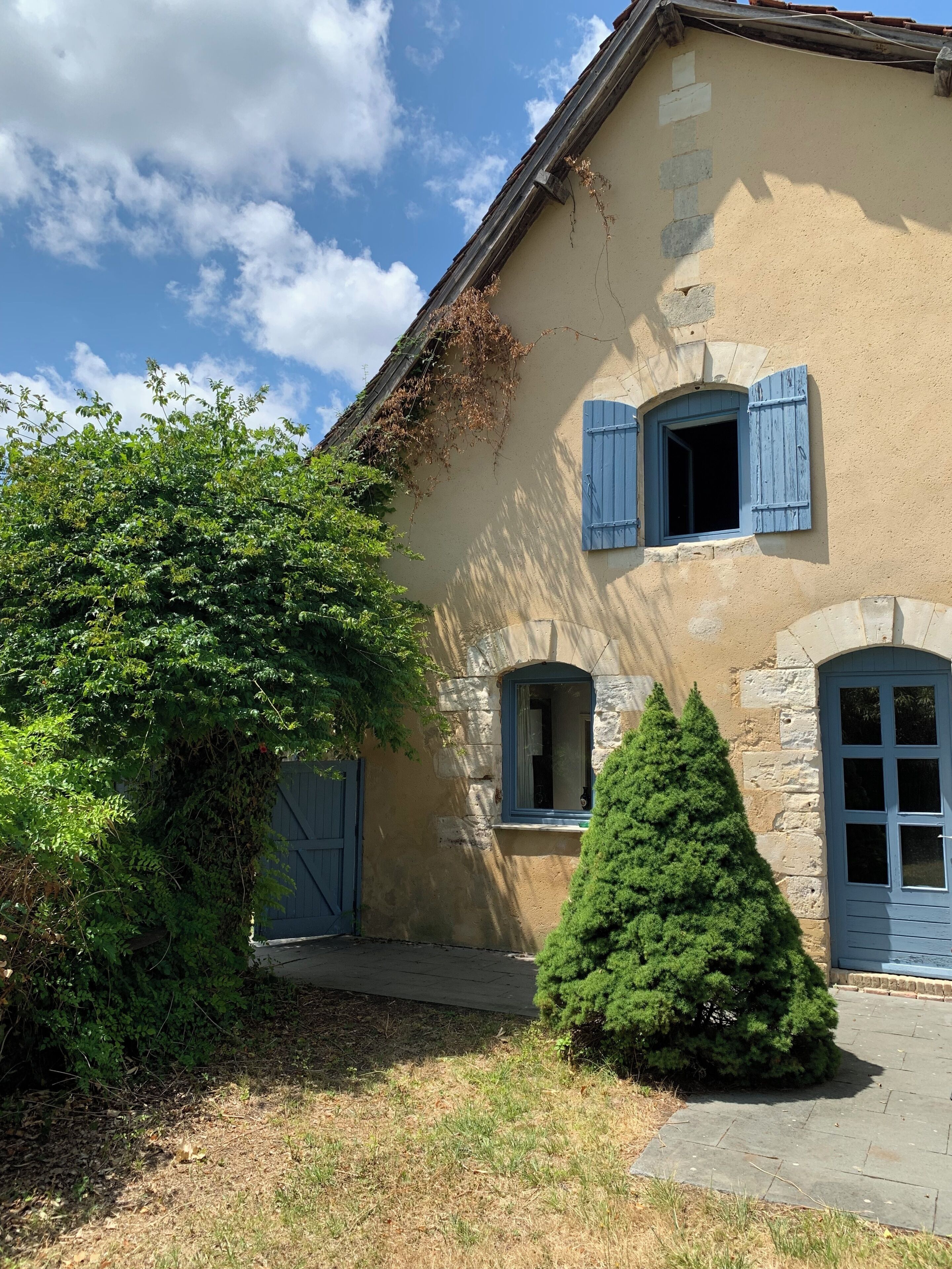 A building with a stone facade, a small window with blue shutters, and a neatly trimmed evergreen shrub in front.