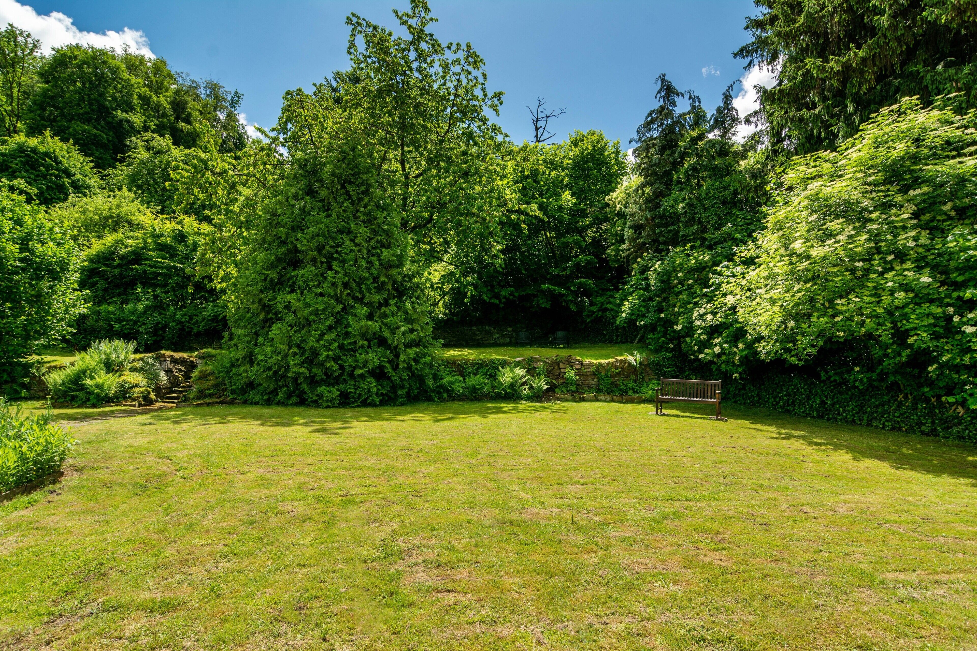 A grassy outdoor area with a bench, surrounded by dense greenery and trees.