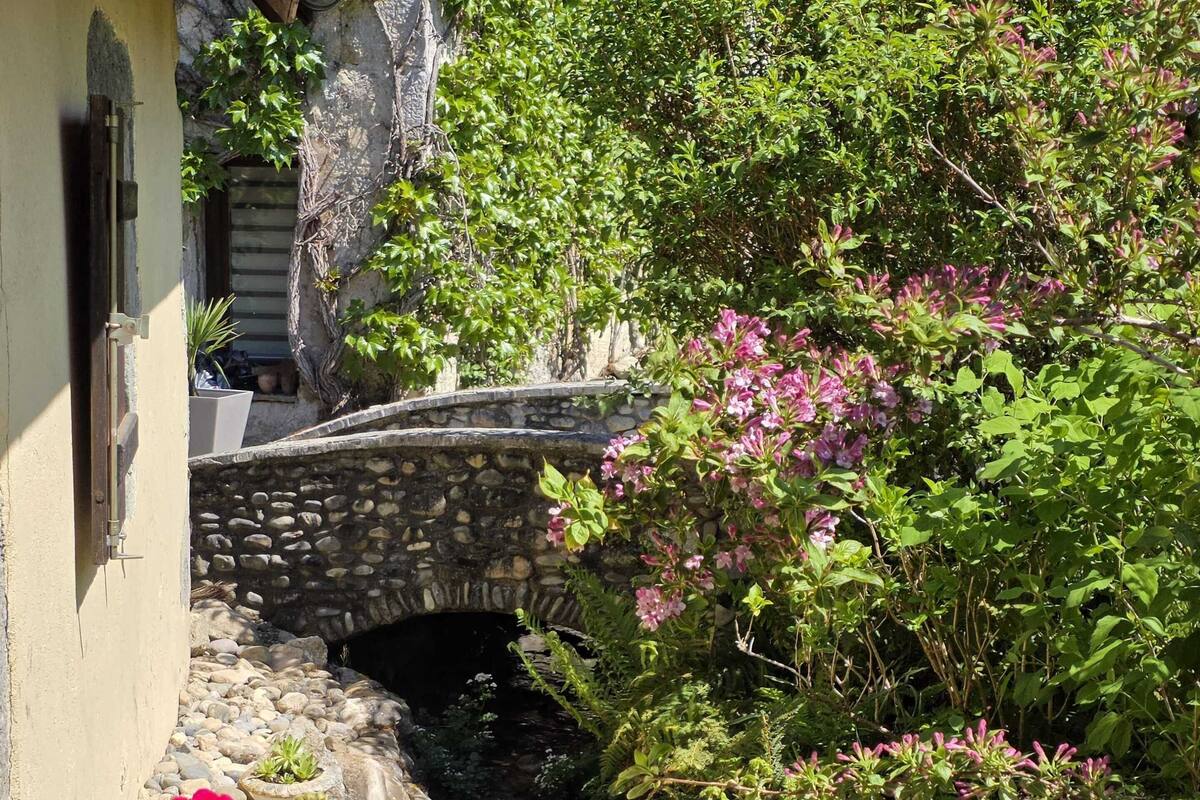 Eine Stegenbrücke über einen kleinen Bach, umgeben von üppigem Grün und blühenden Pflanzen.