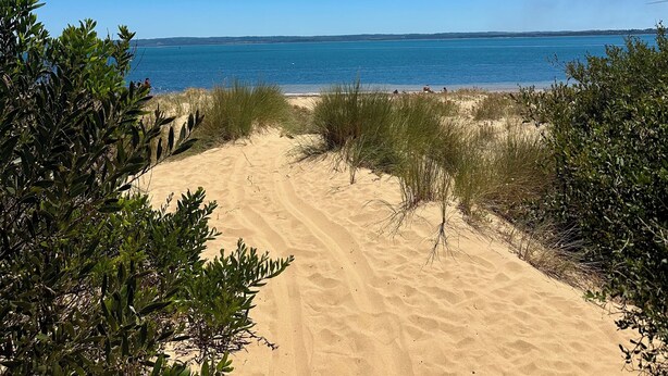 A sandy beach path leading to the sea with clear skies. - On the beach, Cowes, Phillip Island, Sleeps (Cowes)