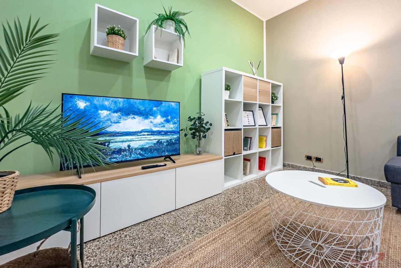 Televisor 