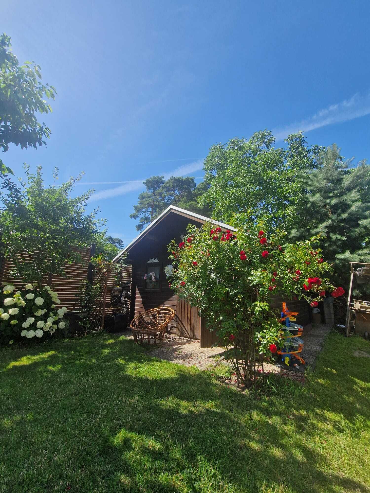 A wooden cabin with a sloped roof, surrounded by lush greenery and flowering plants.