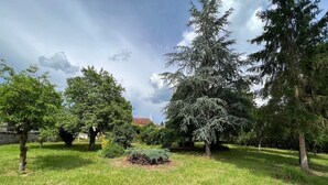 Een gazon met bomen en een stenen muur.