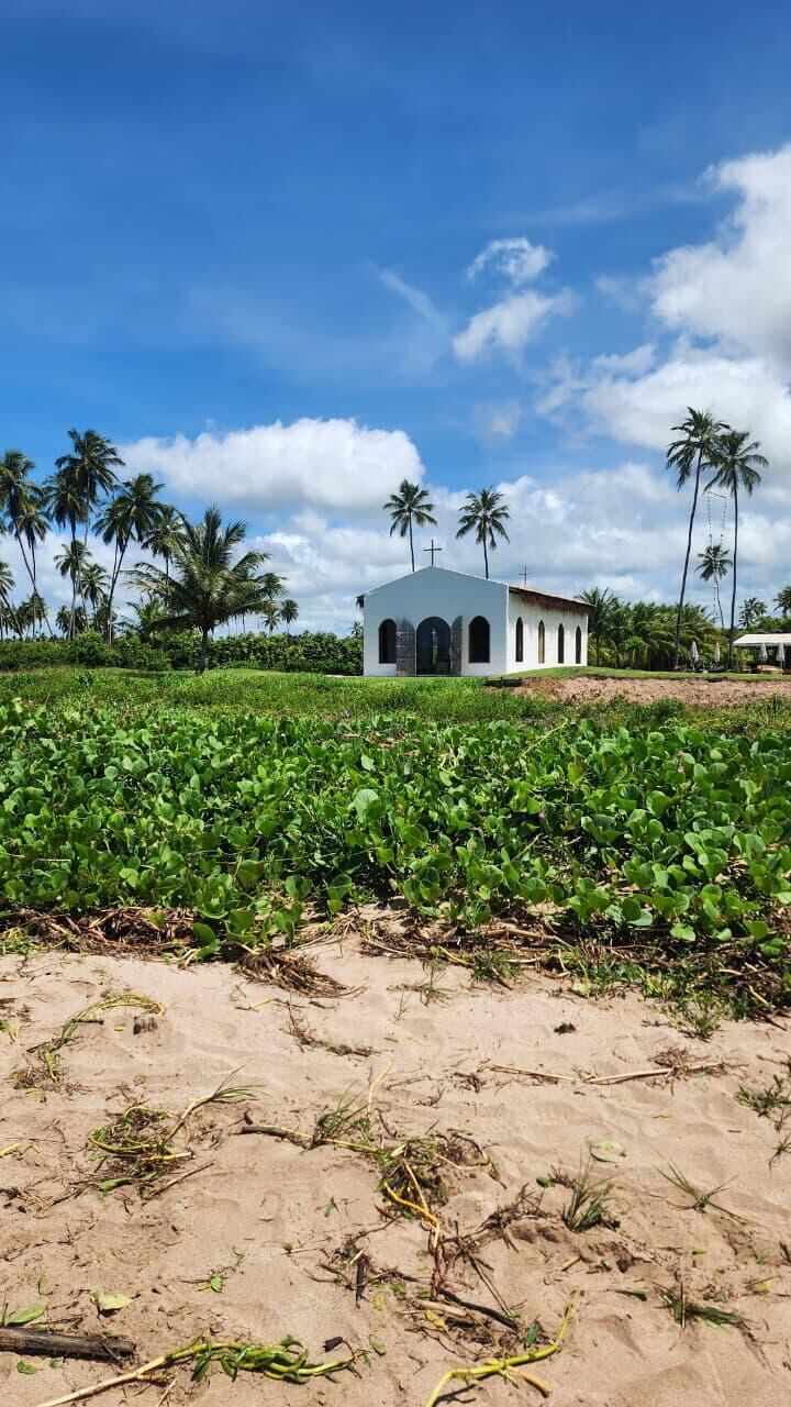 Um edifício branco com uma cruz no topo, rodeado por palmeiras e um campo de plantas verdes.