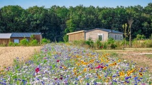 A rural landscape with a field of wildflowers, a wooden cabin, and a small building with a metal roof. - Mobile home AC - 6 guests (Valloire-sur-Cisse)
