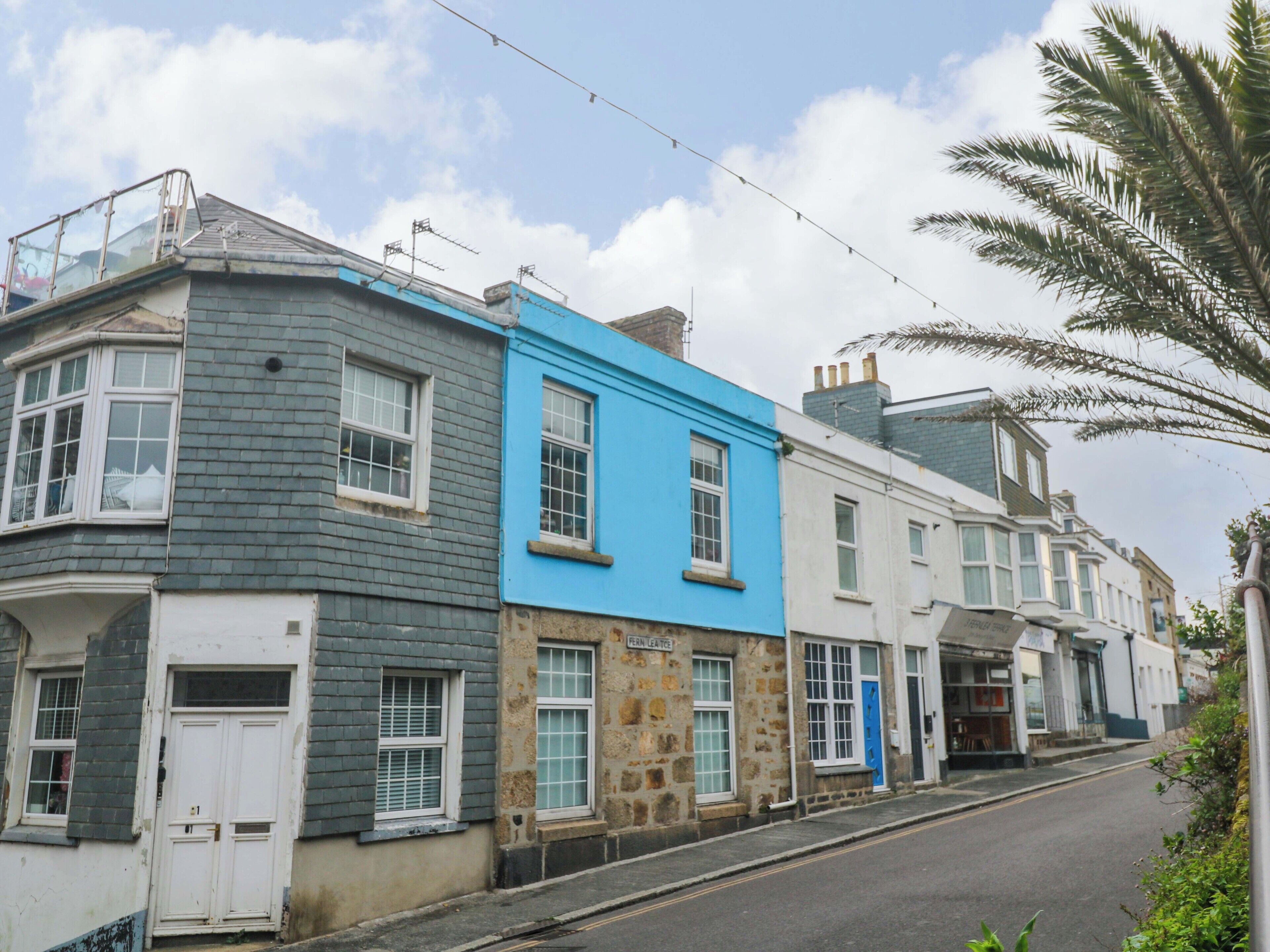 A row of terraced houses with distinct color schemes, a street, and a palm tree.