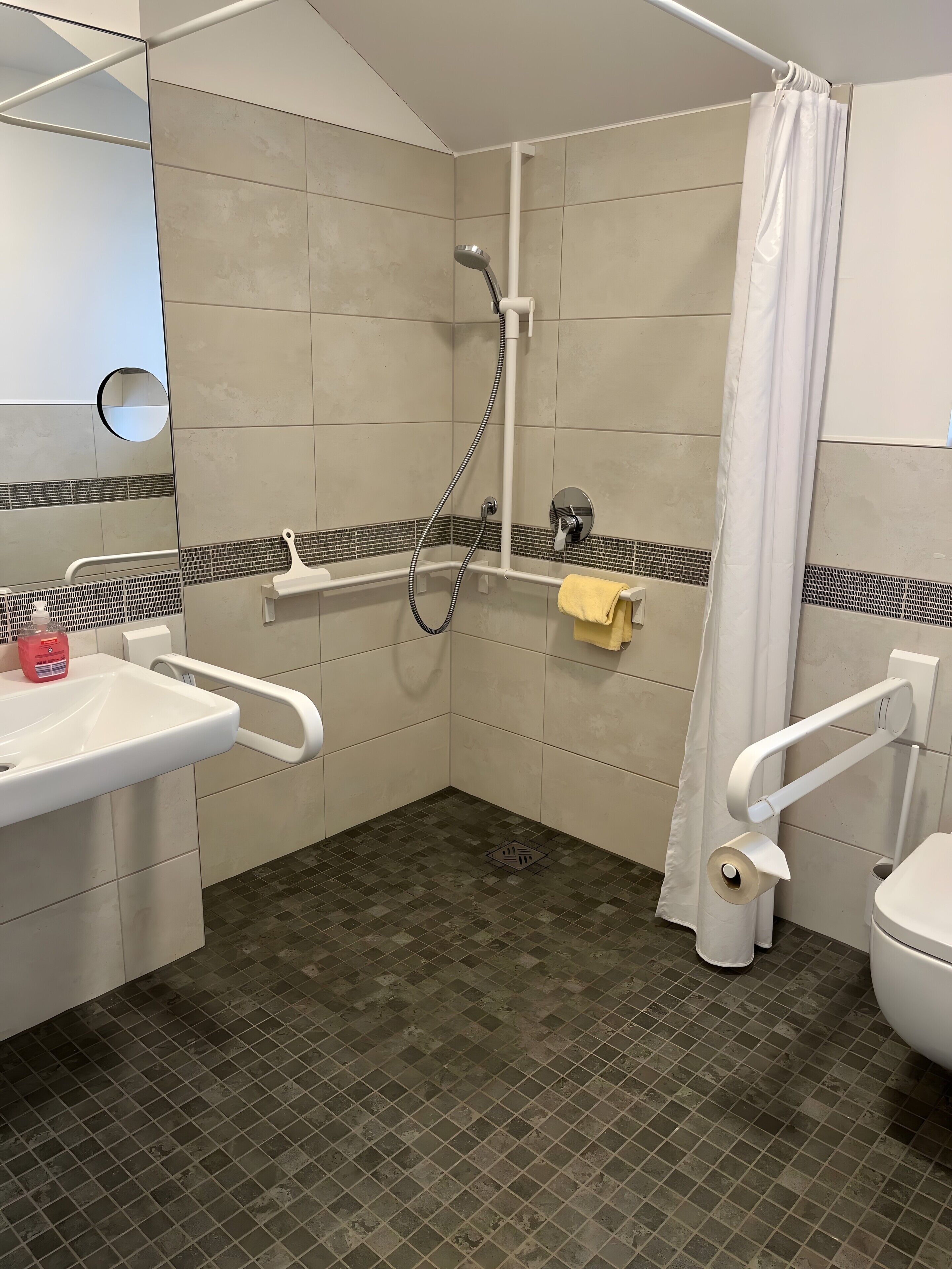 Dusche, Haartrockner, Handtücher