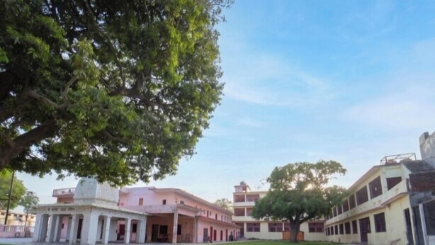 Un patio con un árbol grande, edificios de varios pisos y un cielo despejado.