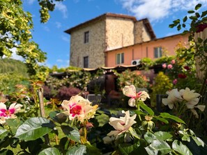 Exterior detail - Tuscan Farmhouse on 1615 Castle Bastion (Cascio)
