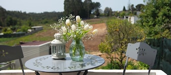 Casa do Carvalhal - nature in the city center