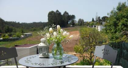 Casa do Carvalhal - nature in the city center