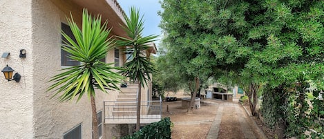 A courtyard with a pathway leading to a building entrance, surrounded by greenery and a palm tree.