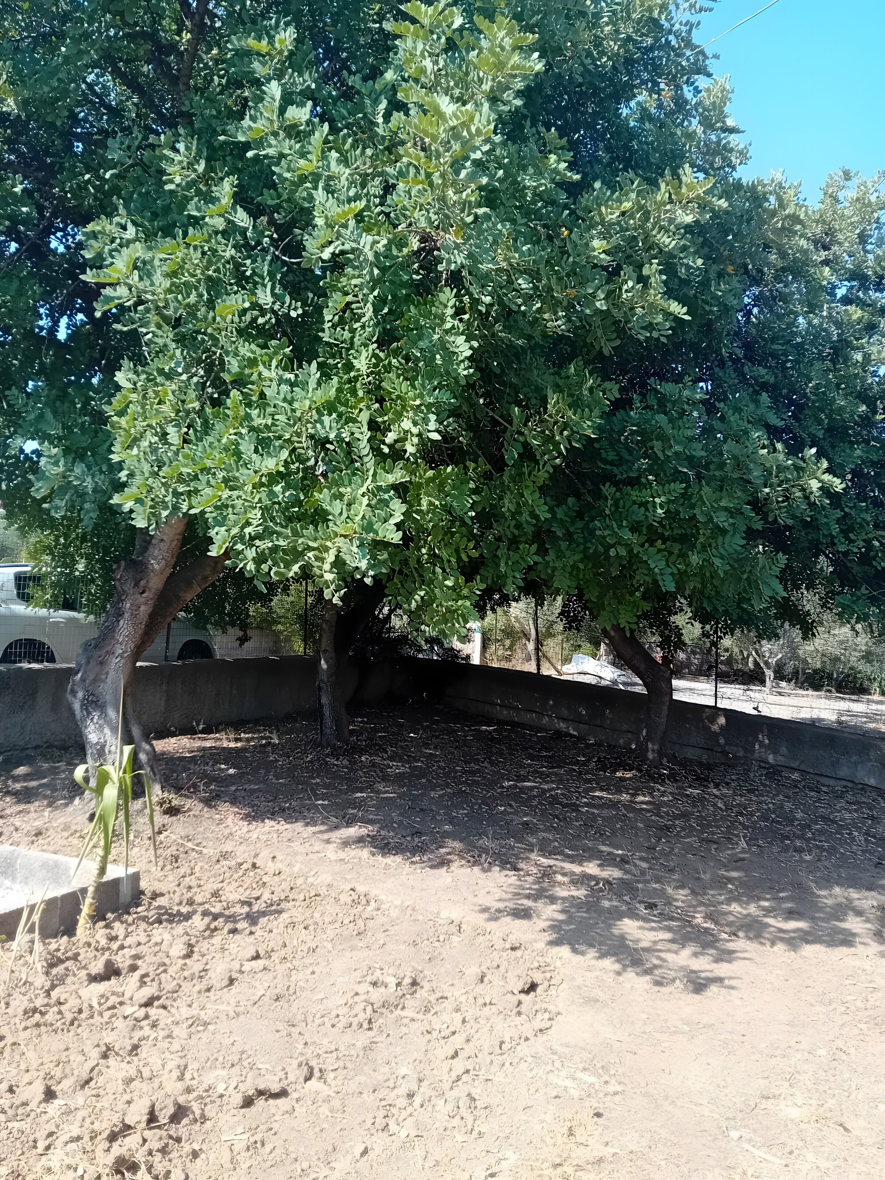 Parco della struttura