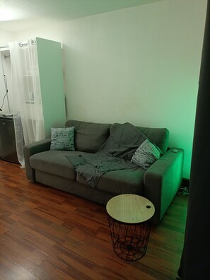 Living area - Vrbo Property (Nice)