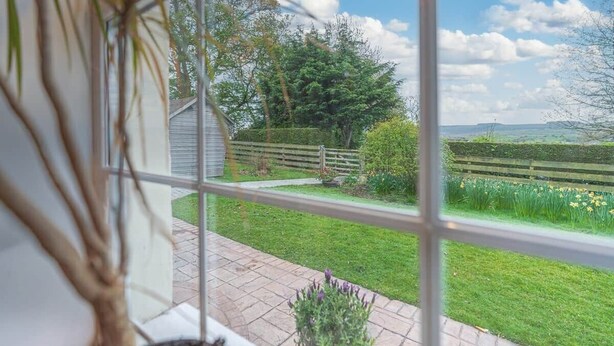 A view through a window of a garden with a wooden fence, a hedge, and a grassy area.
